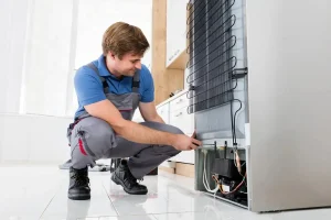 تعمیر یخچال دوو در فردیس